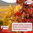 Antistax® extra Venentabletten bei Krampfadern - 3