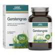 Gerstengras 500 mg Bio Tabletten - 1