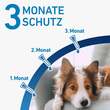 FRONTLINE® SPOT ON Hund S L&ouml;sung - 4