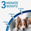 FRONTLINE® SPOT ON Hund M L&ouml;sung - 4