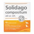 Solidago compositum ad us. vet. Ampullen - 1