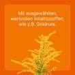 Solidago compositum ad us. vet. Ampullen - 4