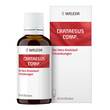 Crataegus comp. Dilution - 1