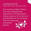 Metaheptachol N Tropfen zum Einnehmen - 3