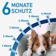 FRONTLINE® SPOT ON Hund M L&ouml;sung - 4