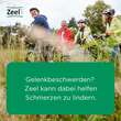 Zeel comp.N Tabletten - 2