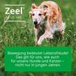 Zeel® ad us. vet. Tabletten - 2