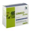 Ginkgo 100 mg Kapseln + B1 + C + E - 1