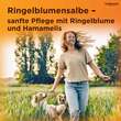 Ringelblumen Salbe - 7