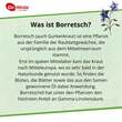 Borretsch&ouml;l Kapseln Dr. Wolz - 3
