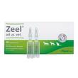 Zeel Ampullen vet. (f&uuml;r Tiere) - 2