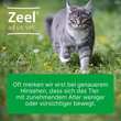 Zeel Ampullen vet. (f&uuml;r Tiere) - 4