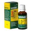 Gastricholan L fl&uuml;ssig - 1