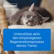 Traumeel® T – Tabletten f&uuml;r Hund und Katze - 3