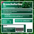 Bronchoforton® Salbe - 9