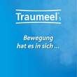 Traumeel® S Creme und Tabletten - 2