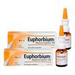 Euphorbium Compositum Nasentropfen SN Nasendosierspray - 1