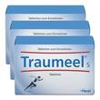 Traumeel S Tabletten - 1