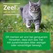 Zeel LT ad us. vet. Tabletten - 3