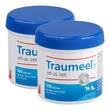 Traumeel T ad us. vet. Tabletten f&uuml;r Hund und Katze - 1