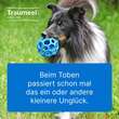 Traumeel T ad us. vet. Tabletten f&uuml;r Hund und Katze - 2