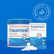 Traumeel T ad us. vet. Tabletten f&uuml;r Hund und Katze - 5