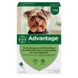 Advantage® f&uuml;r Hunde bis 4 kg - 2