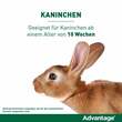 Advantage® 80 mg f&uuml;r gro&szlig;e Katzen und Zierkaninchen - 4