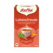 Yogi Tea Lebensfreude Bio - 1