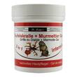 Teufelskralle + Murmeltier 2in1 intensiv Creme - 1