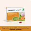 Curcumin-loges Kapseln - 6