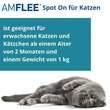 Amflee 50 mg Spot-On f&uuml;r Katzen - 3