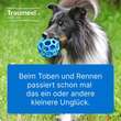 Traumeel LT Ampullen vet. (f&uuml;r Tiere) - 3