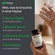 Nicapur Vitamin B-Komplex aktiviert Kapseln - 5