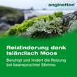 Anginetten Stimme Lutschtabletten - 4