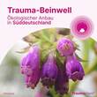 Traumaplant Schmerzcreme - 7