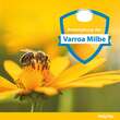 PolyVar YELLOW gegen Milben f&uuml;r den Bienenstock - 4