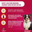 Advantix Spot-on L&ouml;sung z.Auftr.a.d.H.f&uuml;r Hund 25 - 40 kg - 4