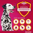 Advantix Spot-on L&ouml;sung z.Auftr.a.d.H.f&uuml;r Hund 25 - 40 kg - 5