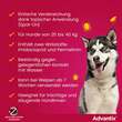 Advantix Spot-on L&ouml;sung z.Auftr.a.d.H.f&uuml;r Hund 25 - 40 kg - 6