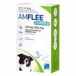 Amflee combo 134/120,6 mg L&ouml;sung zum Auftropfen f&uuml;r Hunde 10-20 kg - 1