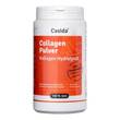 Collagen Pulver Kollagen Hydrolysat Peptide Rind - 1