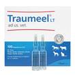 Traumeel LT Ampullen vet. (f&uuml;r Tiere) - 2