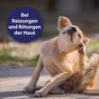 Canosept Hautpflege Spray f&uuml;r Hunde - 2