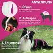 FRONTLINE TRI-ACT® gegen Zecke, Floh und fliegende Insekten bei Hunden (5-10kg) - 3