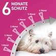 FRONTLINE TRI-ACT® gegen Zecke, Floh und fliegende Insekten bei Hunden (5-10kg) - 4