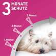 FRONTLINE TRI-ACT® gegen Zecke, Floh und fliegende Insekten bei Hunden (10-20kg) - 4