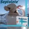 Septolete mit Eukalyptus-Geschmack 3 mg/1 mg Lutschtabletten - 4