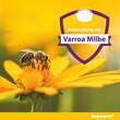 Bayvarol® Streifen f&uuml;r Honigbienen - 4