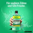 Listerine Fresh Mint Mundsp&uuml;lung - 2